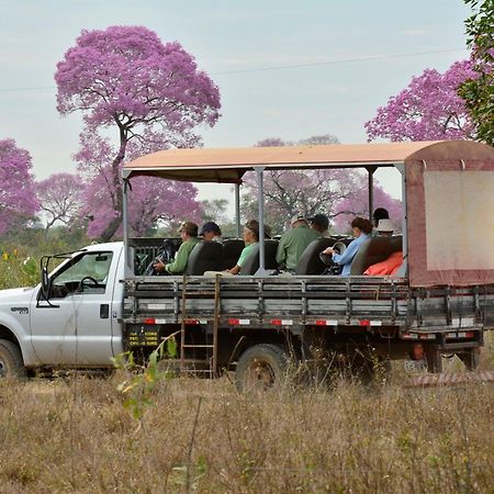 Southwild Pantanal Lodge Pixaim Bagian luar foto