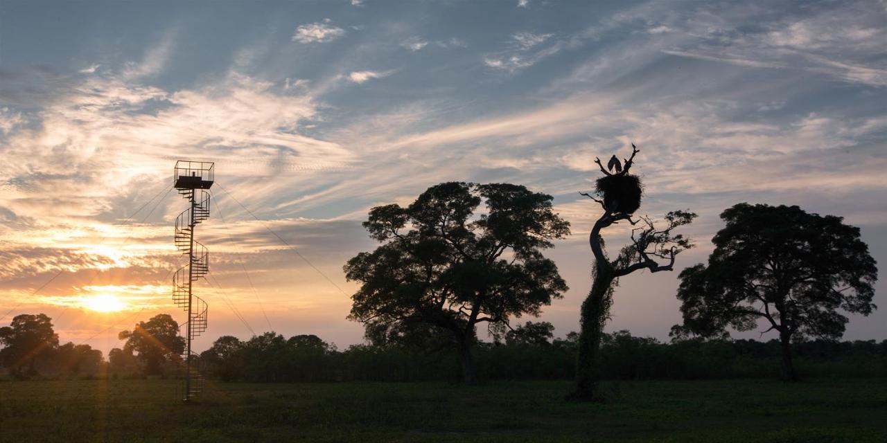 Southwild Pantanal Lodge Pixaim Bagian luar foto
