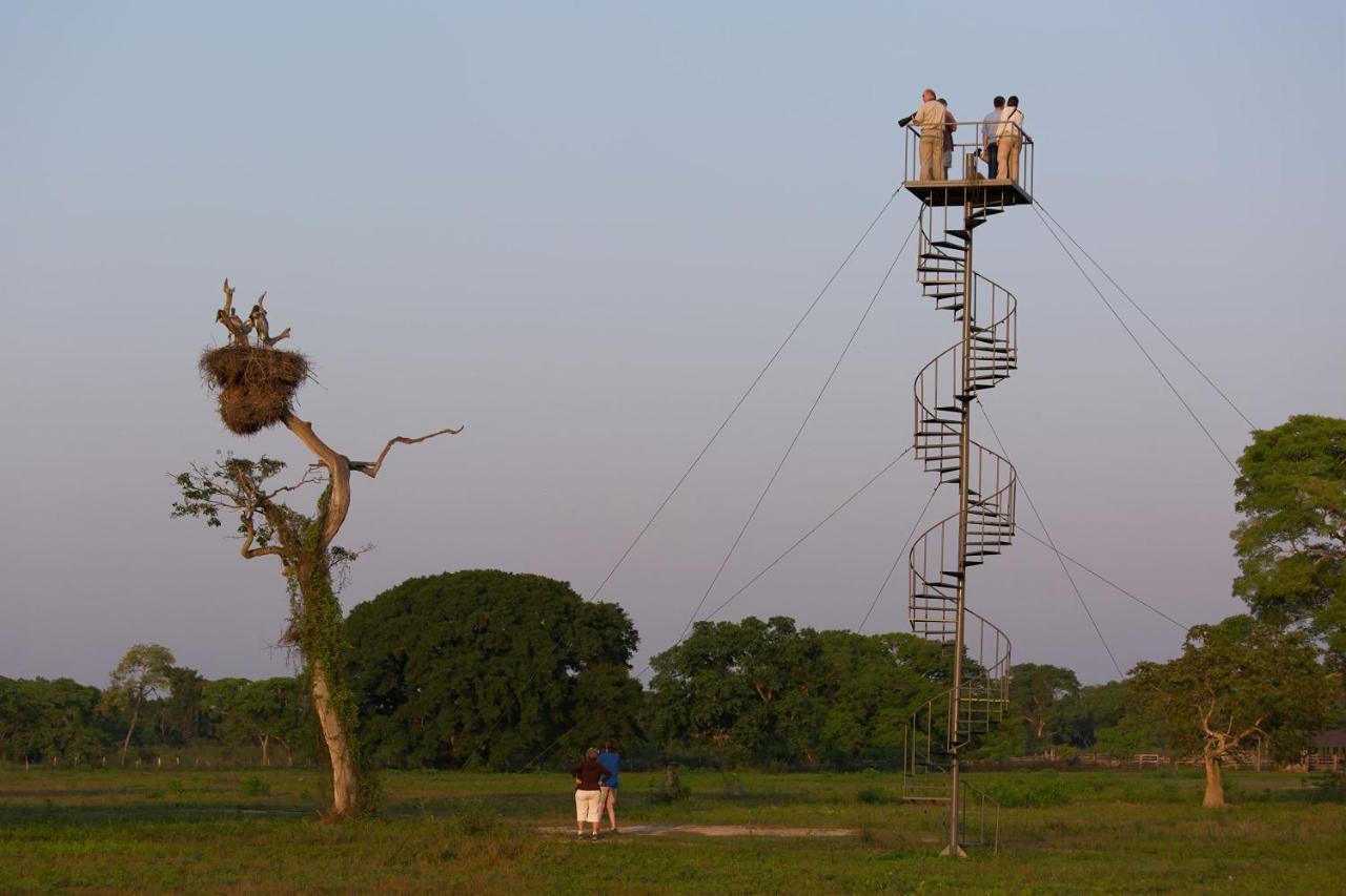 Southwild Pantanal Lodge Pixaim Bagian luar foto