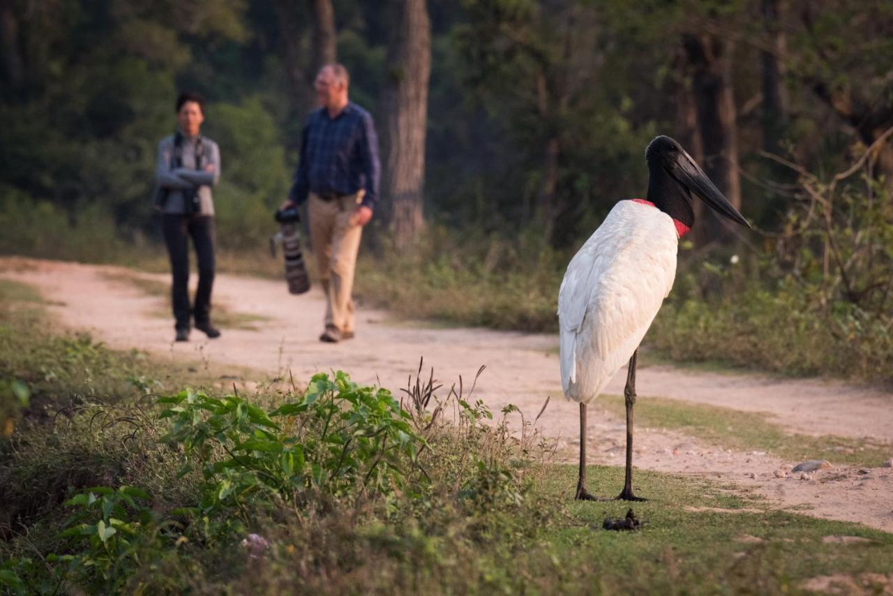 Southwild Pantanal Lodge Pixaim Bagian luar foto