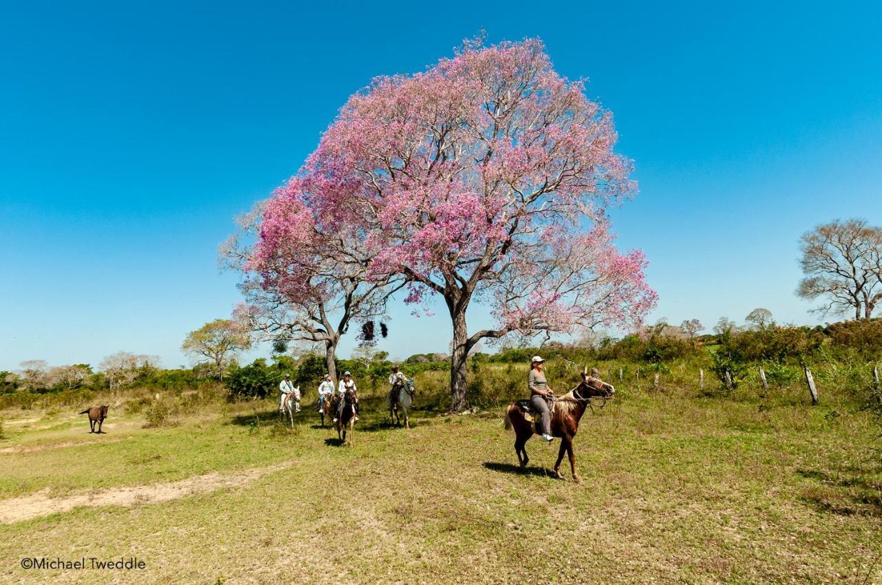 Southwild Pantanal Lodge Pixaim Bagian luar foto
