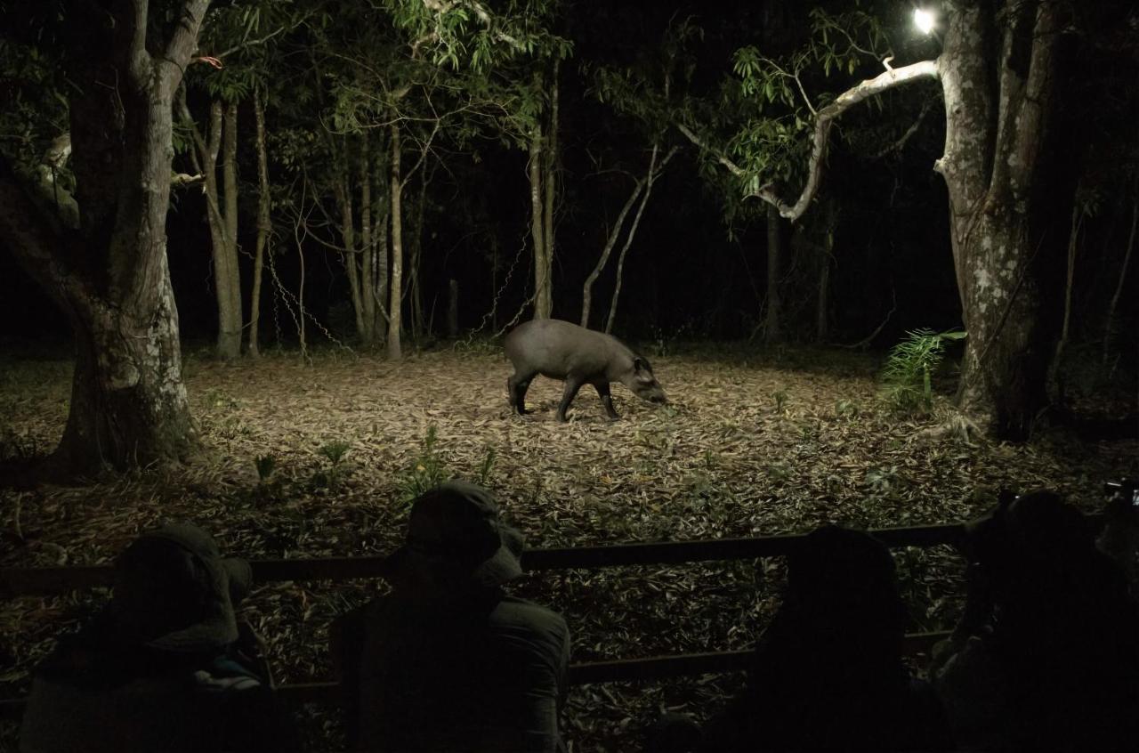 Southwild Pantanal Lodge Pixaim Bagian luar foto