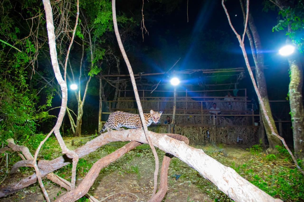 Southwild Pantanal Lodge Pixaim Bagian luar foto
