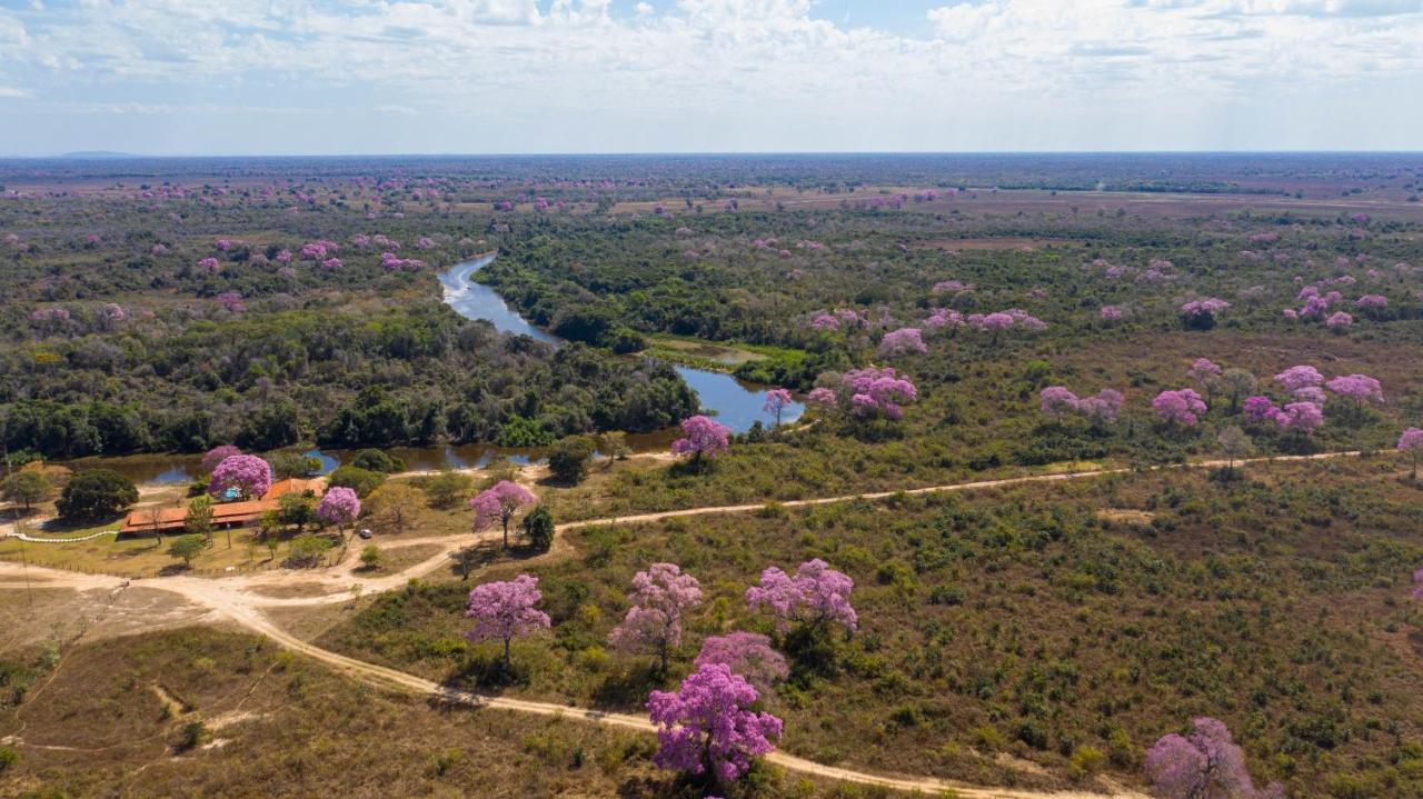 Southwild Pantanal Lodge Pixaim Bagian luar foto