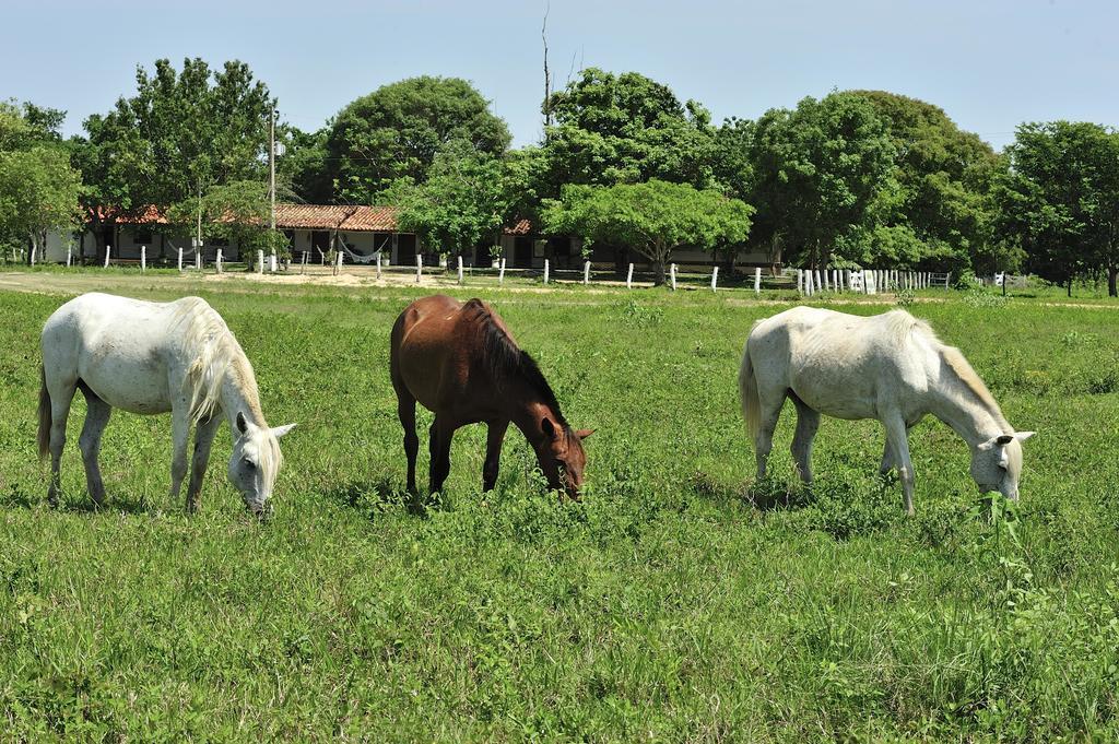 Southwild Pantanal Lodge Pixaim Bagian luar foto