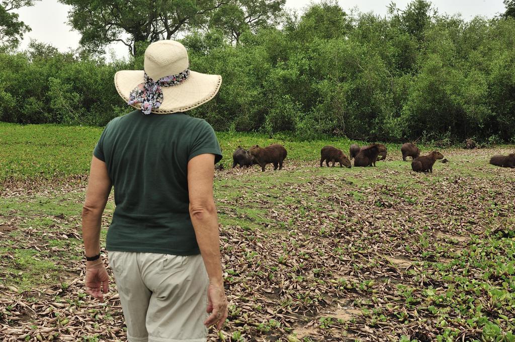 Southwild Pantanal Lodge Pixaim Bagian luar foto