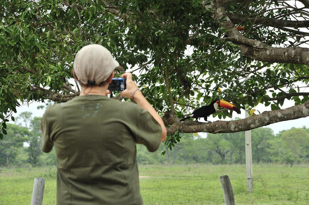 Southwild Pantanal Lodge Pixaim Bagian luar foto