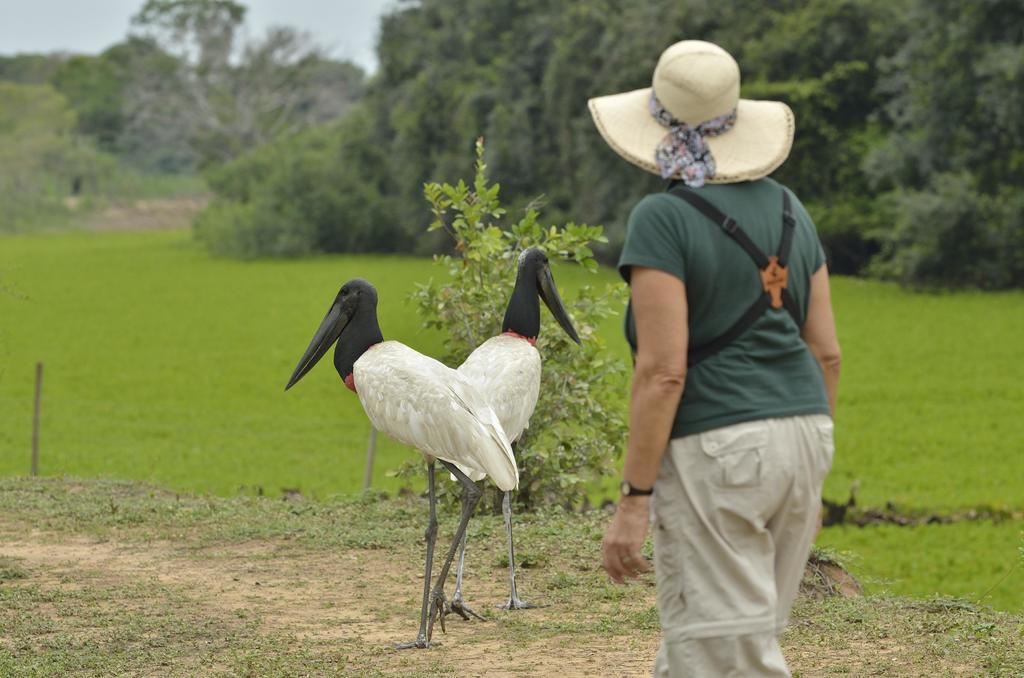 Southwild Pantanal Lodge Pixaim Bagian luar foto