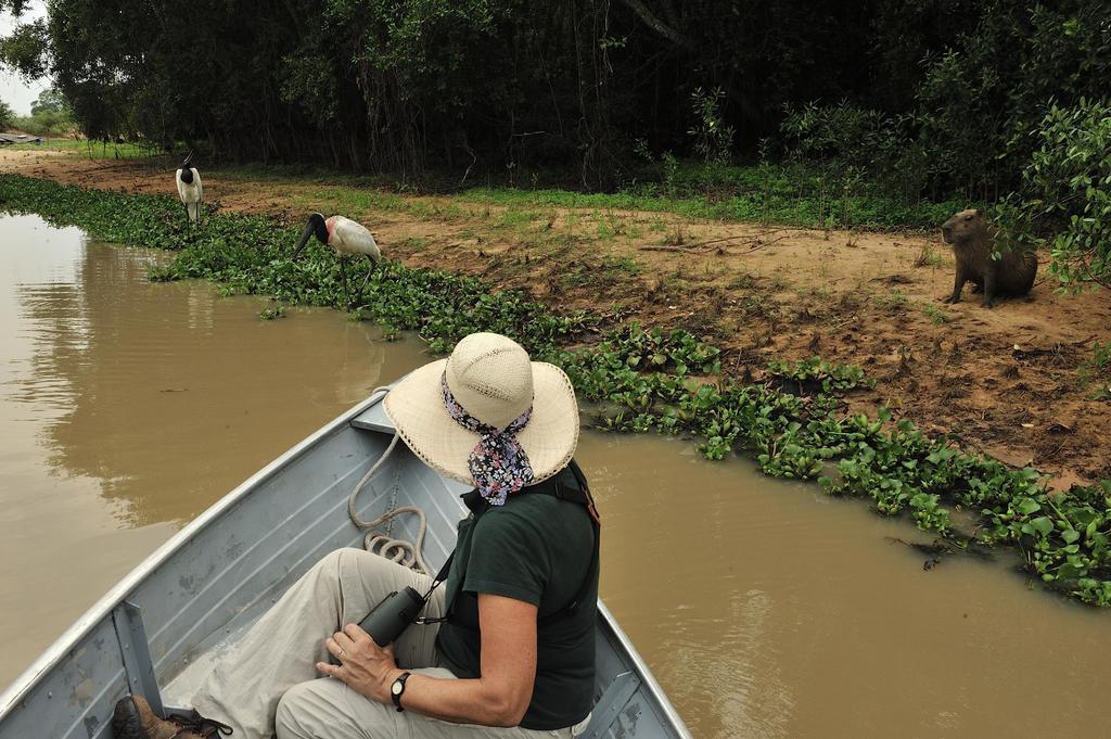 Southwild Pantanal Lodge Pixaim Bagian luar foto
