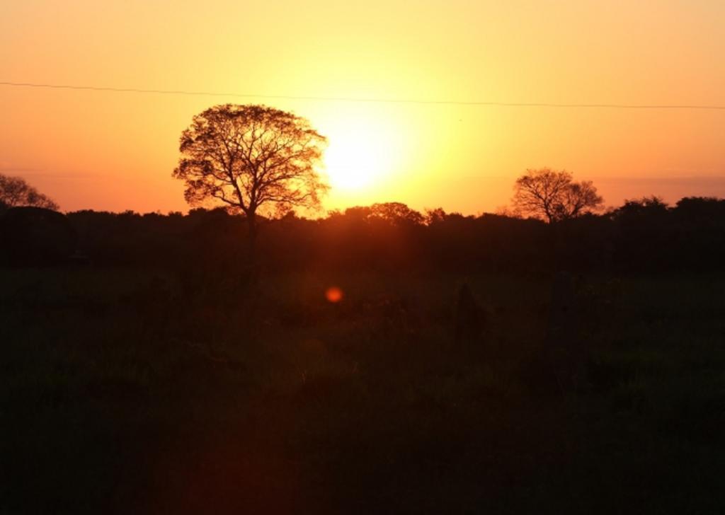 Southwild Pantanal Lodge Pixaim Bagian luar foto