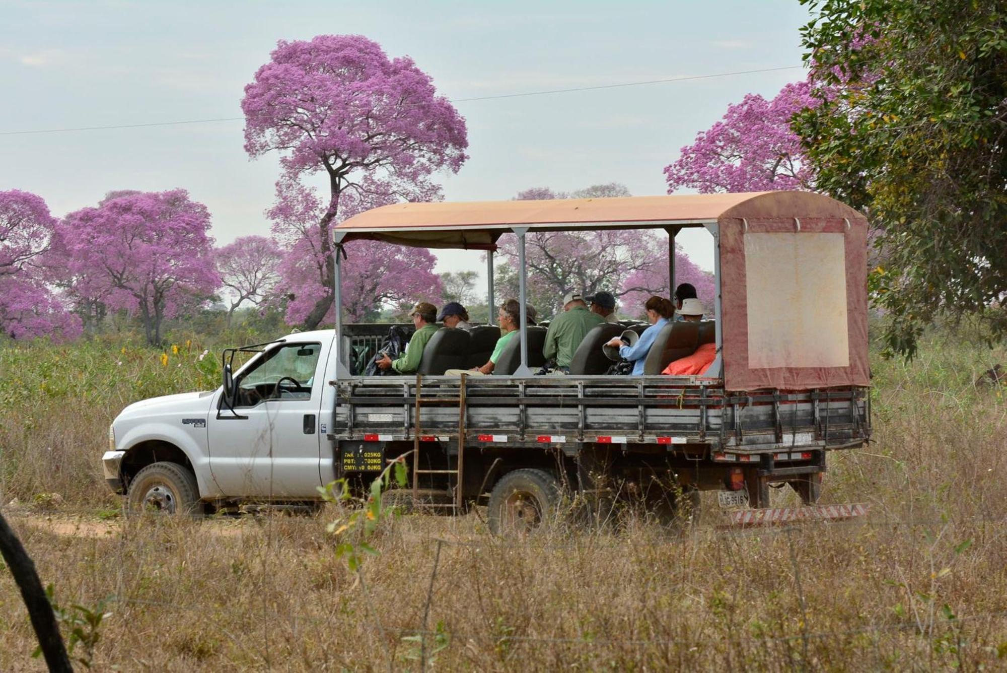 Southwild Pantanal Lodge Pixaim Bagian luar foto