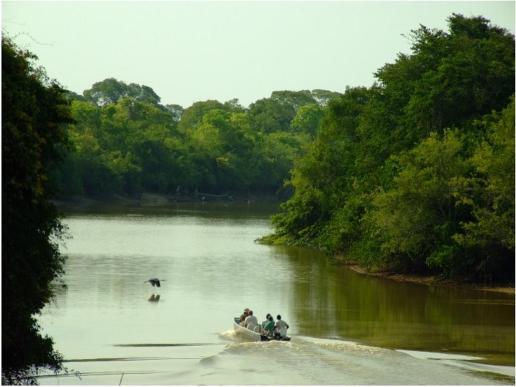 Southwild Pantanal Lodge Pixaim Bagian luar foto